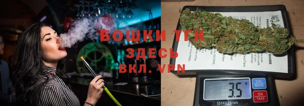 PSILOCYBIN Лиски