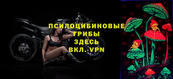 бошки Лихославль