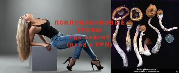 PSILOCYBIN Лиски