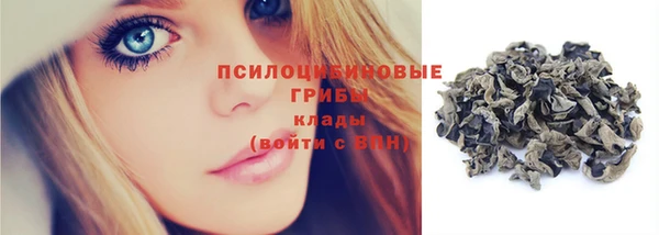PSILOCYBIN Лиски