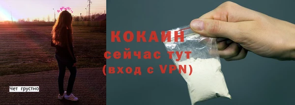 PSILOCYBIN Лиски