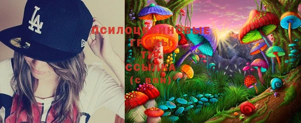 PSILOCYBIN Лиски
