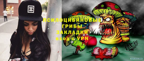 PSILOCYBIN Лиски