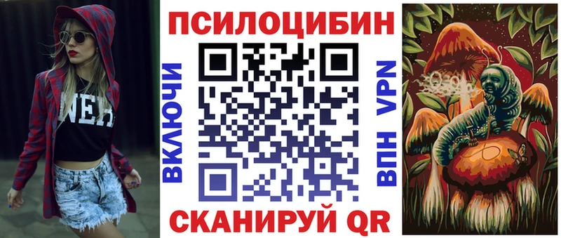 Купить закладки  Куровское  Галлюциногенные грибы Cubensis 